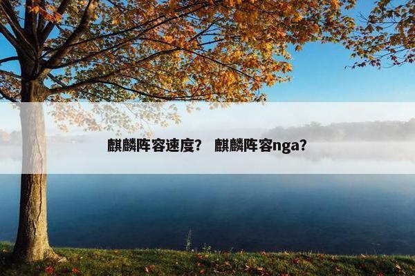 麒麟阵容速度？ 麒麟阵容nga？