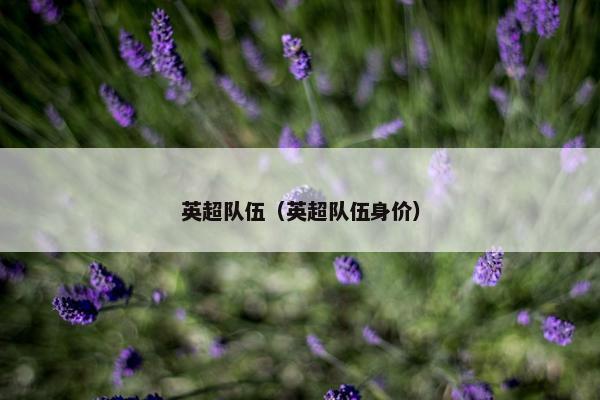 英超队伍（英超队伍身价）