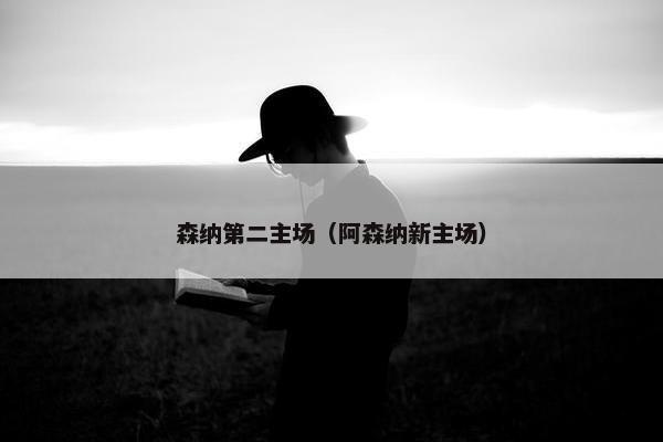 森纳第二主场（阿森纳新主场）