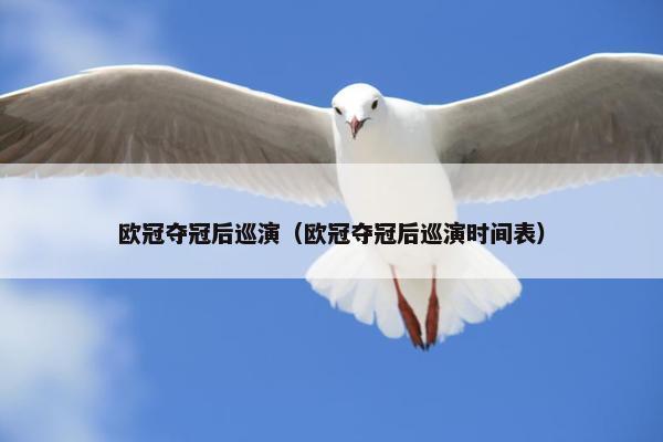 欧冠夺冠后巡演（欧冠夺冠后巡演时间表）