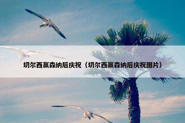 切尔西赢森纳后庆祝（切尔西赢森纳后庆祝图片）