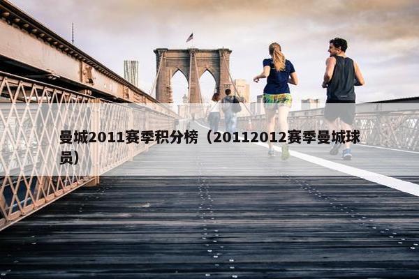 曼城2011赛季积分榜（20112012赛季曼城球员）