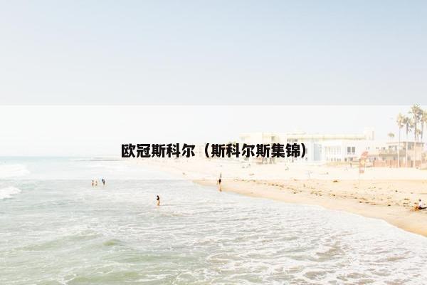 欧冠斯科尔（斯科尔斯集锦）