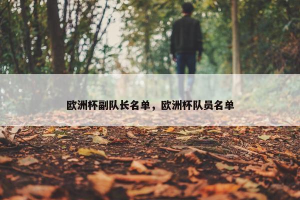 欧洲杯副队长名单，欧洲杯队员名单
