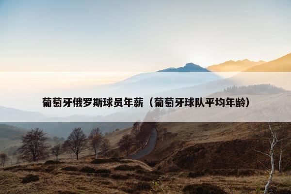 葡萄牙俄罗斯球员年薪（葡萄牙球队平均年龄）