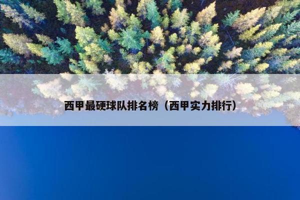 西甲最硬球队排名榜（西甲实力排行）