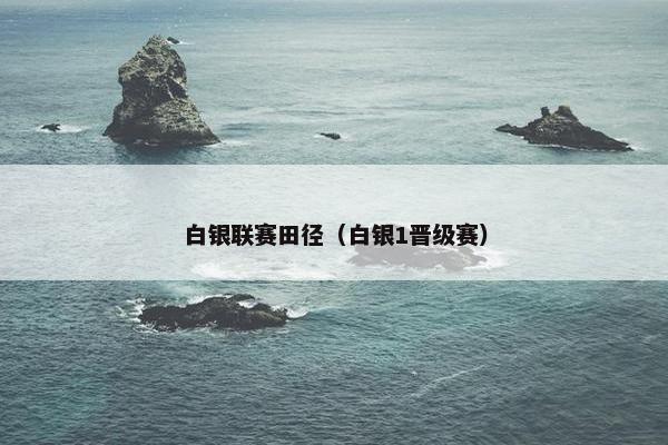 白银联赛田径（白银1晋级赛）