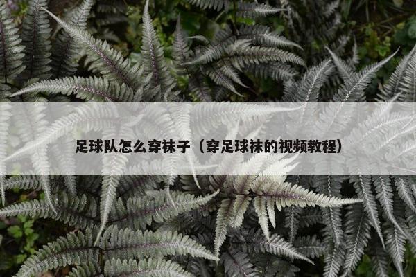 足球队怎么穿袜子（穿足球袜的视频教程）