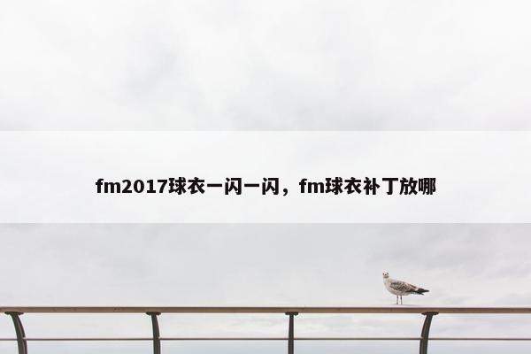 fm2017球衣一闪一闪，fm球衣补丁放哪