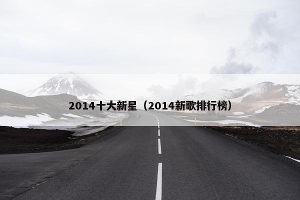 2014十大新星（2014新歌排行榜）
