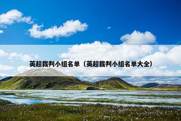 英超裁判小组名单（英超裁判小组名单大全）