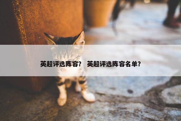 英超评选阵容？ 英超评选阵容名单？