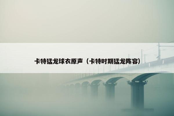 卡特猛龙球衣原声（卡特时期猛龙阵容）