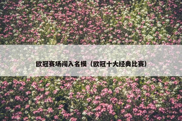 欧冠赛场闯入名模（欧冠十大经典比赛）
