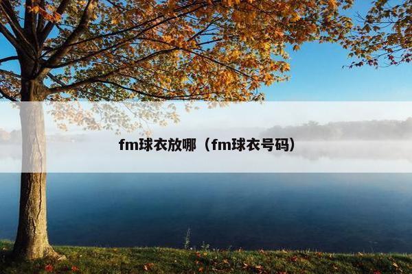 fm球衣放哪（fm球衣号码）