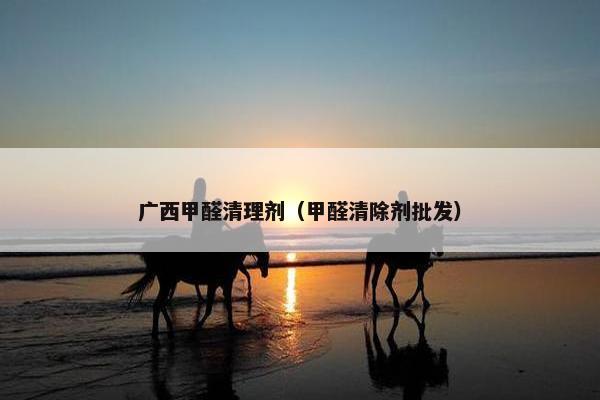 广西甲醛清理剂（甲醛清除剂批发）