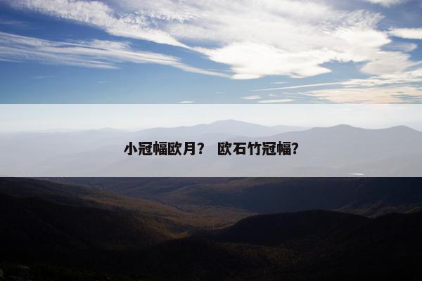 小冠幅欧月？ 欧石竹冠幅？