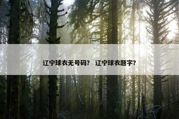 辽宁球衣无号码？ 辽宁球衣题字？