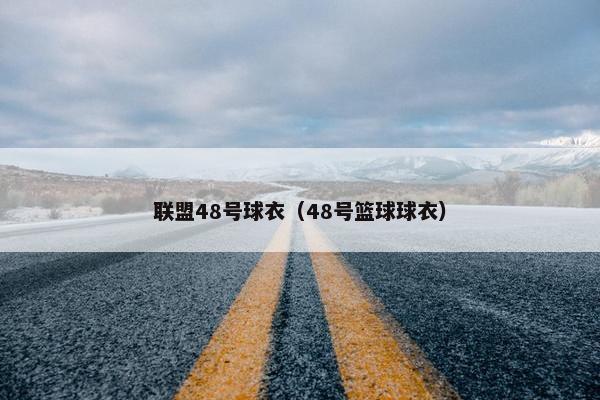 联盟48号球衣（48号篮球球衣）