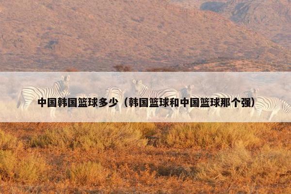 中国韩国篮球多少（韩国篮球和中国篮球那个强）