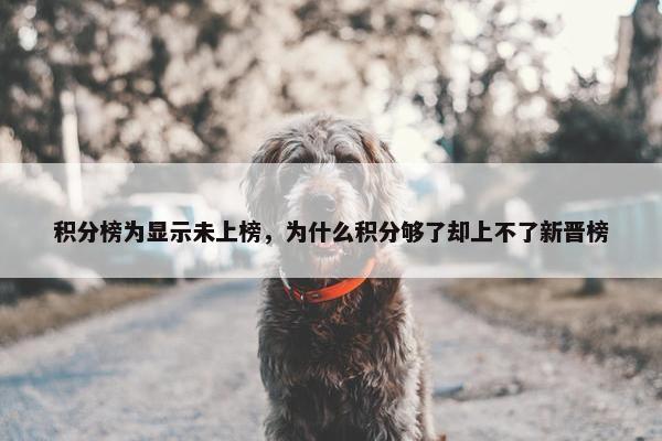 积分榜为显示未上榜，为什么积分够了却上不了新晋榜