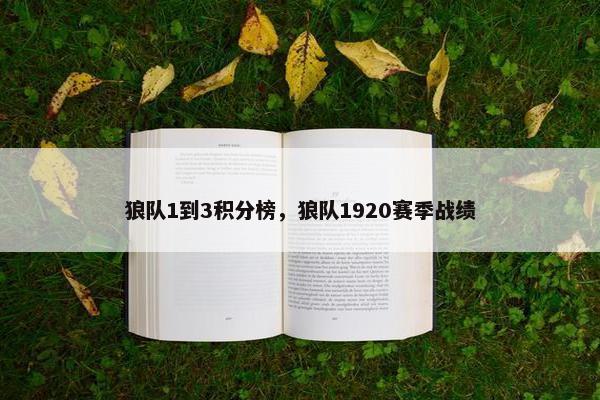 狼队1到3积分榜，狼队1920赛季战绩