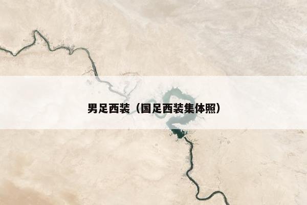 男足西装（国足西装集体照）