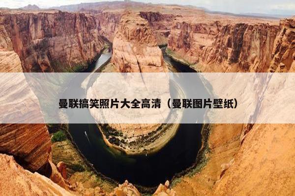 曼联搞笑照片大全高清（曼联图片壁纸）