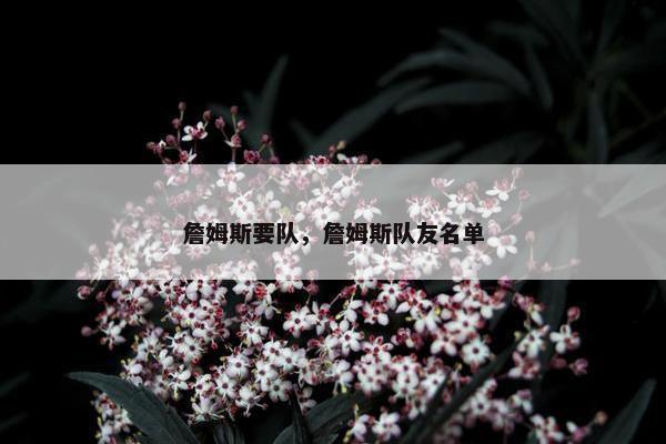詹姆斯要队，詹姆斯队友名单