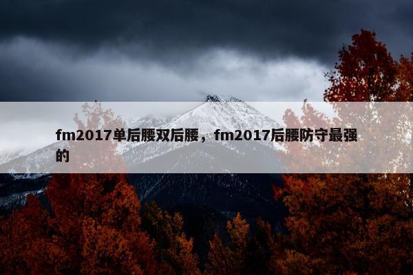 fm2017单后腰双后腰，fm2017后腰防守最强的