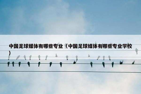 中国足球媒体有哪些专业（中国足球媒体有哪些专业学校）