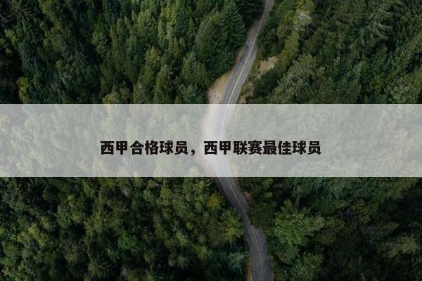西甲合格球员，西甲联赛最佳球员