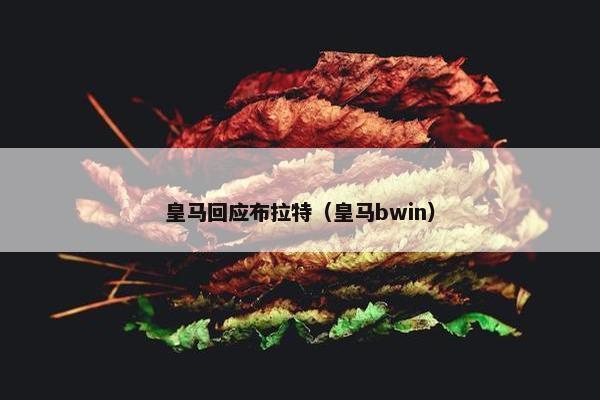 皇马回应布拉特（皇马bwin）