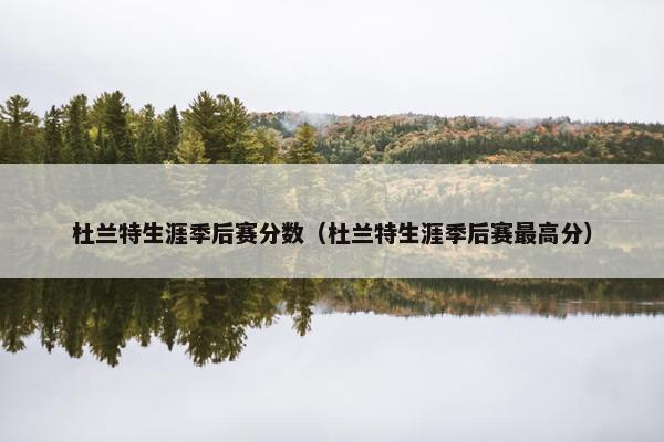 杜兰特生涯季后赛分数（杜兰特生涯季后赛最高分）