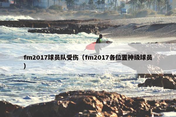 fm2017球员队受伤（fm2017各位置神级球员）