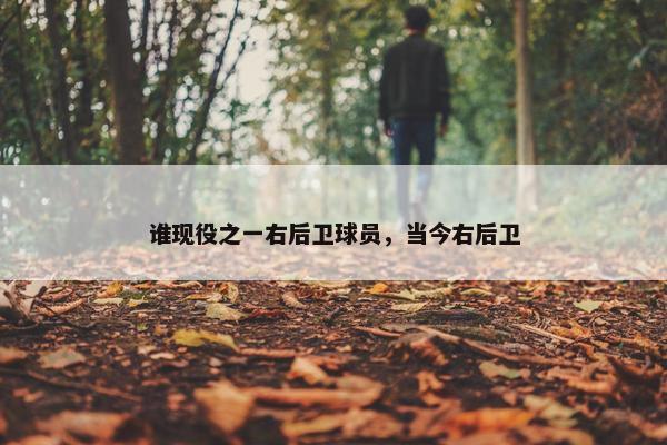谁现役之一右后卫球员，当今右后卫