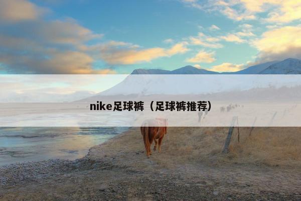 nike足球裤（足球裤推荐）