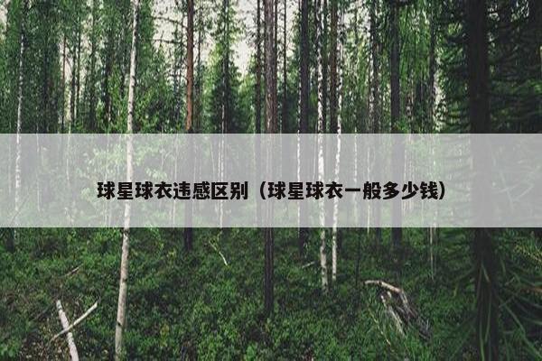 球星球衣违感区别（球星球衣一般多少钱）