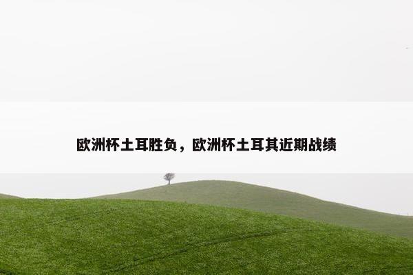 欧洲杯土耳胜负，欧洲杯土耳其近期战绩