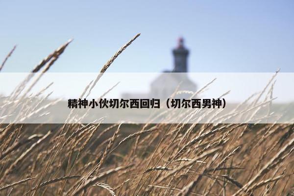 精神小伙切尔西回归（切尔西男神）