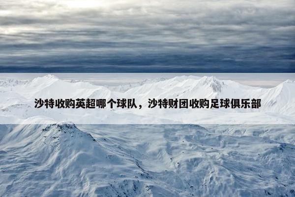 沙特收购英超哪个球队，沙特财团收购足球俱乐部