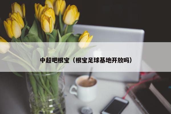 中超吧根宝（根宝足球基地开放吗）