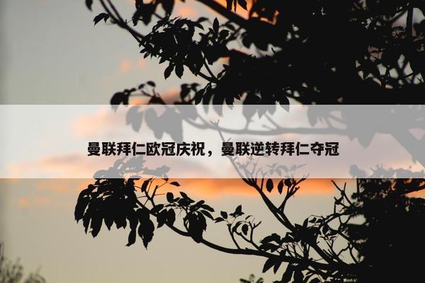 曼联拜仁欧冠庆祝，曼联逆转拜仁夺冠