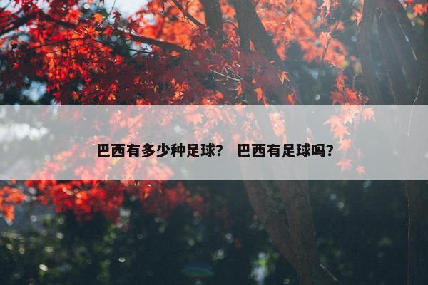 巴西有多少种足球？ 巴西有足球吗？