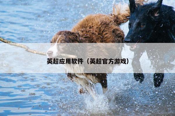 英超应用软件（英超官方游戏）