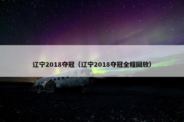 辽宁2018夺冠（辽宁2018夺冠全程回放）