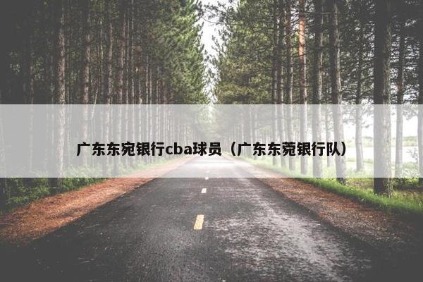 广东东宛银行cba球员（广东东菀银行队）