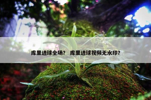库里进球全场？ 库里进球视频无水印？