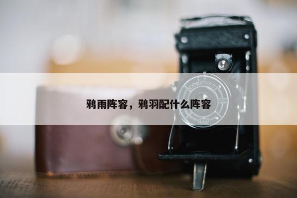 鸦雨阵容，鸦羽配什么阵容