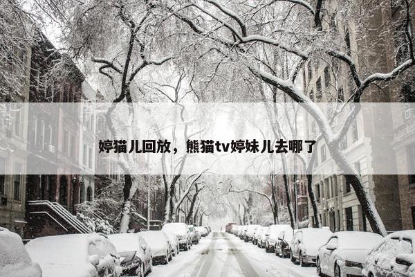 婷猫儿回放，熊猫tv婷妹儿去哪了